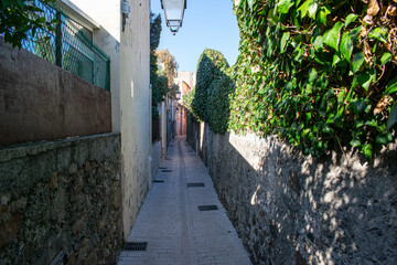 Saint Trope narrow street with plants