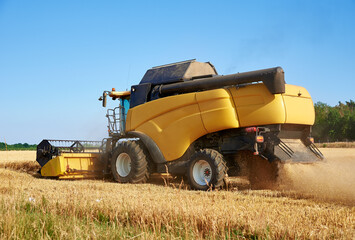 Fototapeta premium Combine harvester harvesting golden wheat field, harvester working in an agricultural field, harvest season