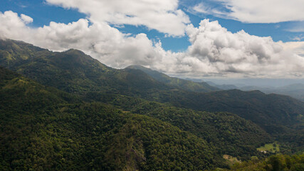Mountain peaks covered with forest from above.