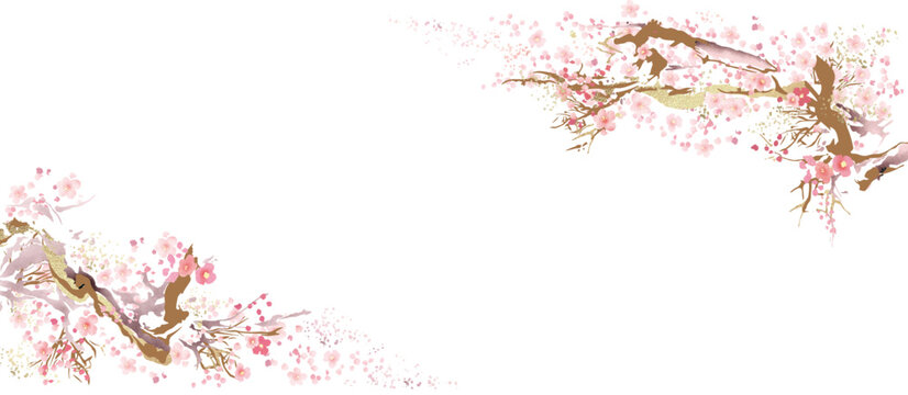桜, 春, 水彩, 金箔, 金, 風景, 花, ピンク, 年賀状, 日本画, 和, 和風, 卒業, 正月, 始業式, 背景, フレーム
