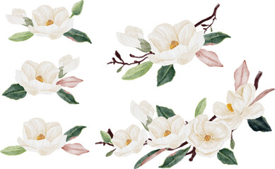 watercolor white magnolia flower and leaf bouquet clipart collection isolated on white background - obrazy, fototapety, plakaty