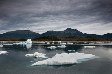 Blocks of ice of the Columbia Glacier floating on Prince William Sound, Alaska