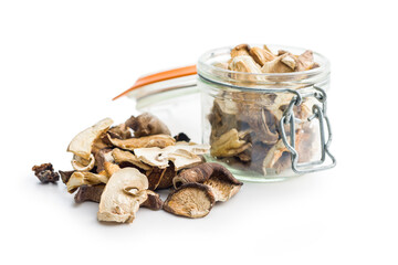 Various sliced dried mushrooms isolated on white background.