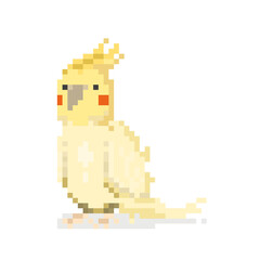 Cartoon pixel cockatial bird character.