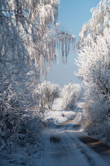 zimowa śnieżna droga