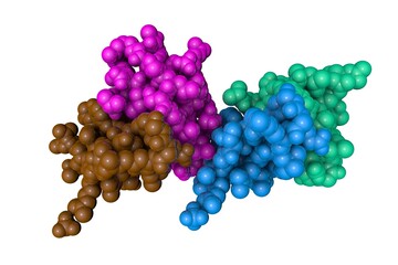 Human defensin-5. Space-filling molecular model isolated on white background. Rendering with differently colored protein chains based on protein data bank entry 1zmp. 3d illustration