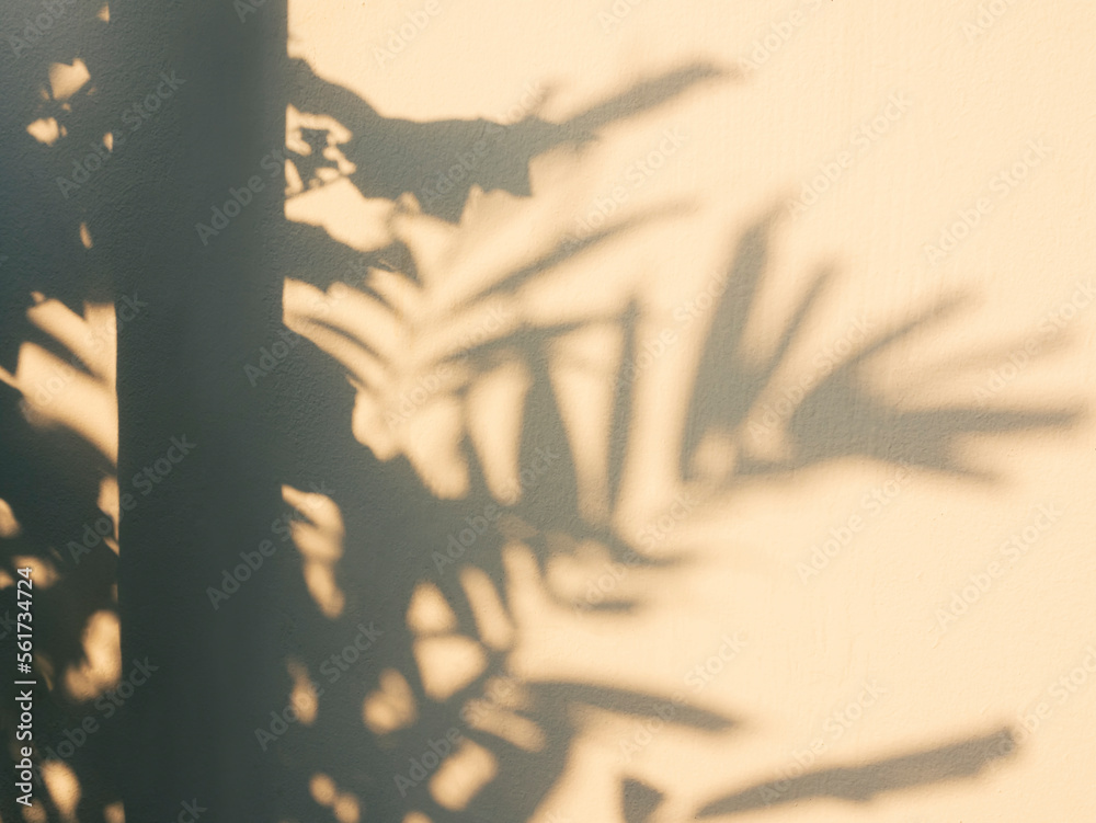 Poster tree leaves shadow on wall sunlight shade nature abstract background