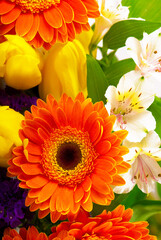 Orange gerbera, tulip, ranunculus, hyacinth, daisy flower isolated on white background