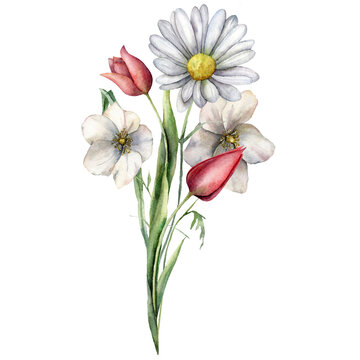 Watercolor spring bouquet of meadow flowers, chamomile, tulip and buttercup. Hand painted floral poster of wildflowers isolated on white background. Holiday Illustration for design, print, background.
