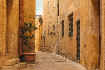 Old medieval narrow empty street with street lights and flower pots in Mdina town. Travel destination