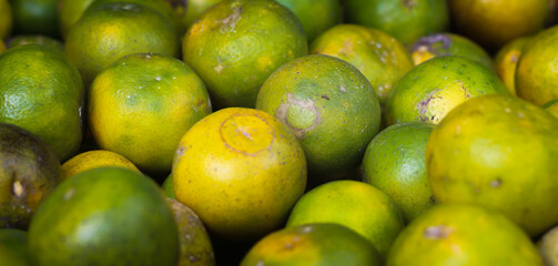 A group of fresh local orange fruits with green color