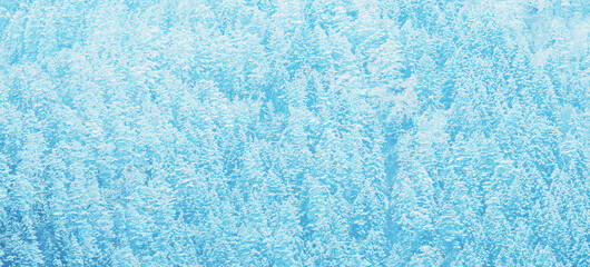 Coniferous Forest Landscape View Like Mosaic Pattern. Nature Forest Pattern. Morning Foggy Coniferous Forest. Beauty In Nature.