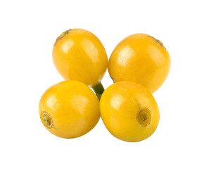 yellow coffee beans on transparent png