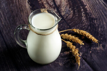 Fresh country milk in a glass jug on a dark wooden background with ears of wheat. Natural lighting,...