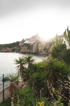 Spain, Balearic Islands, Ibiza, Coastal town at sunset with plants growing in foreground