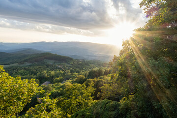 Lush green landscape of Casentino valley on sunny day