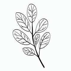 Simplicity floral freehand drawing flat design.