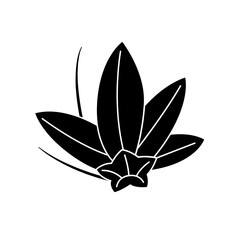 竜胆紋 / 龍胆紋・変り竜胆蝶（かわりりんどうちょう）