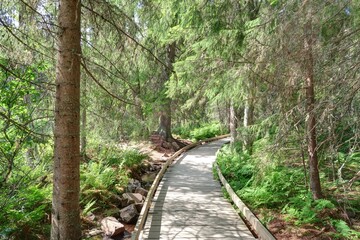 Lacs et chute d'eau dans le parc national de Fulufj&auml;llet &agrave; la fronti&egrave;re entre la su&egrave;de et la Norv&egrave;ge