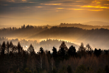 Orange morning sunrays in the misty forest, Bieszczady, Poland