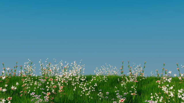 Spring Meadow Wallpaper with copy-space. Nature Scene with Long Grass, Wild Flowers and Clear Blue Sky.