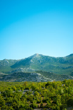 view of the mountains