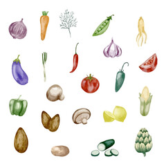 Set of watercolor vegetables. Template for design. Hand drawn vector illustration.