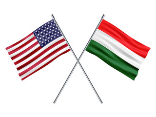 USA Friendship Flag 3d Illustration