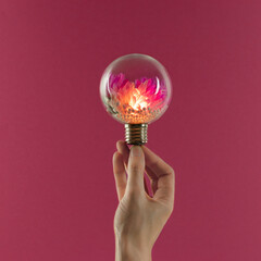 Female hand holds glowing light bulb with purple flowers inside against magenta background