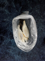 Fish in a bag.