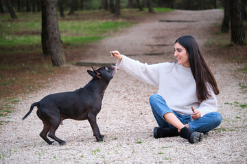 Young caucasian woman playing with her mixed breed dog sitting at a pine forest.