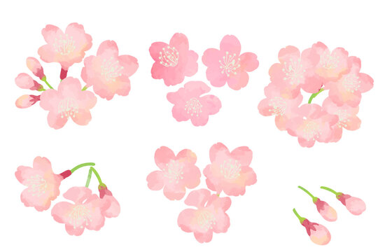 水彩タッチの桜のイラスト素材