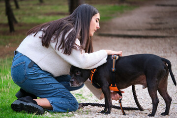 Young caucasian woman putting on dog harness at a pine forest.