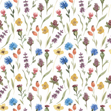 Watercolor little wildflowers seamless pattern. Hand drawn meadow flowers print. Field florals textile printing