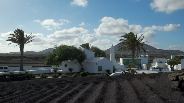 Campo de lava arado con casas t&iacute;picas de Lanzarote, volc&aacute;n y palmera canaria en d&iacute;a de viento.
