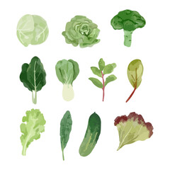 Set of watercolor vegetables. Template for design. Hand drawn vector illustration.