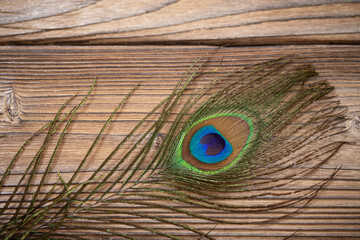 peacock feather on old wooden background