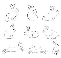 set of simple hand drawn rabbits. in white background