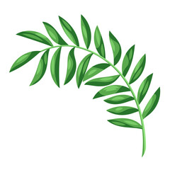 Illustration of stylized palm leaf. Image of tropical foliage and plant.