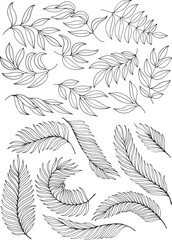 Fototapeta na wymiar Collection of different shapes branches and leaves, doodle illustration