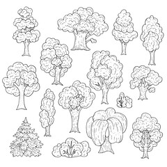 Cartoon trees sketches - firtree, willow, oak, maple. Vector hand drawn outline illustrations

