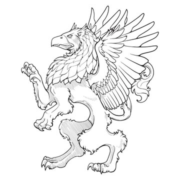 Heraldic Griffin walking on hind legs. Heraldic supporter a part of a Coat of Arms. Black line drawing isolated on white background. EPS10 vector illustration.