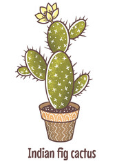 Indian fig cactus house plant. Hand drawn digital illustration of green home flower