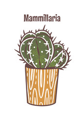 Mammillaria house plant. Hand drawn digital illustration of home cactus