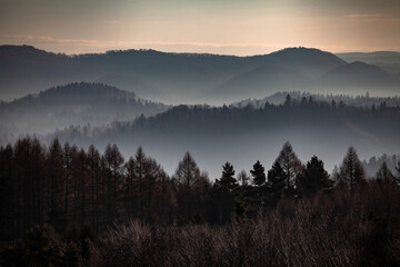 Fototapeta Łagodne wzgórza porośnięte lasem w porannej mgle, Bieszczady, Polska obraz