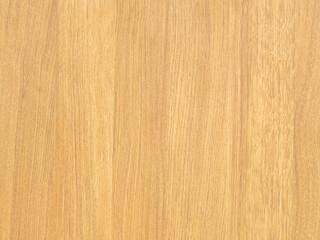 Naklejka premium Wood paneling or wooden wall with natural patterns. Light brown empty background. Natural material background, beautiful, clean, light colors.