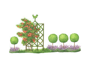 Green wooden garden trellis panel with bird, overgrown with climbing rose flowers. Topiary trees growing in a flowerbed with lavender. Hand drawn watercolor painting illustration isolated on white  - 561758937
