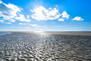 Photo sur Aluminium Mer du Nord, Pays-Bas North Sea landscape