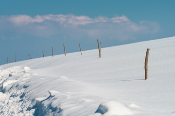 Wooden sticks for dairy farm free range fencing in snow at Zlatibor landscape