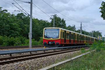Obraz premium View Train traveling at speed on the railway crossing the forest.